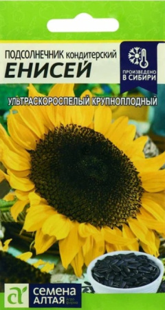Семена Подсолнечник Енисей 10 гр Семена Алтая